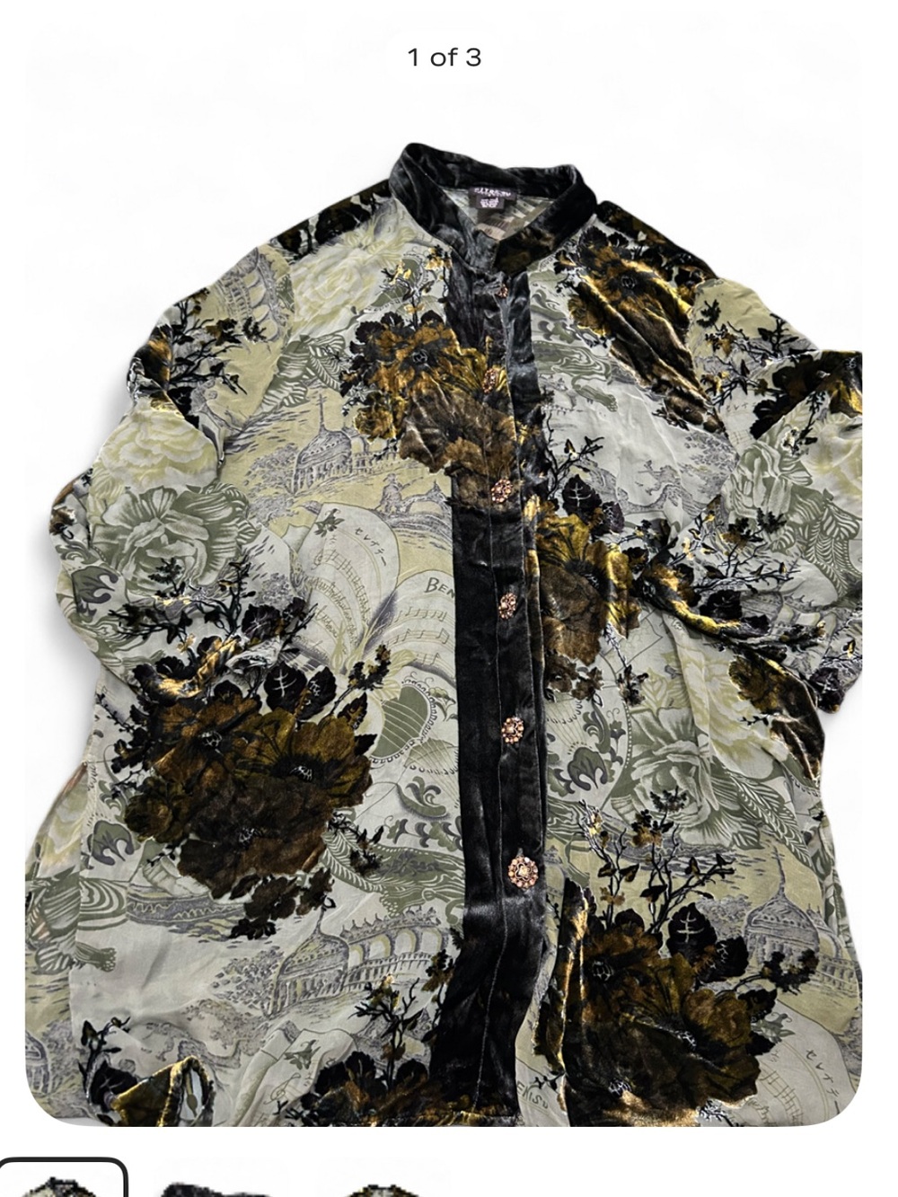 Citron Santa Monica Women's Velvet Floral Buttont-Up - Olive Green & Black